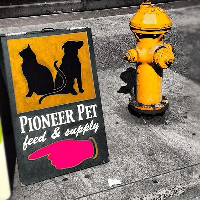 PioneerPet