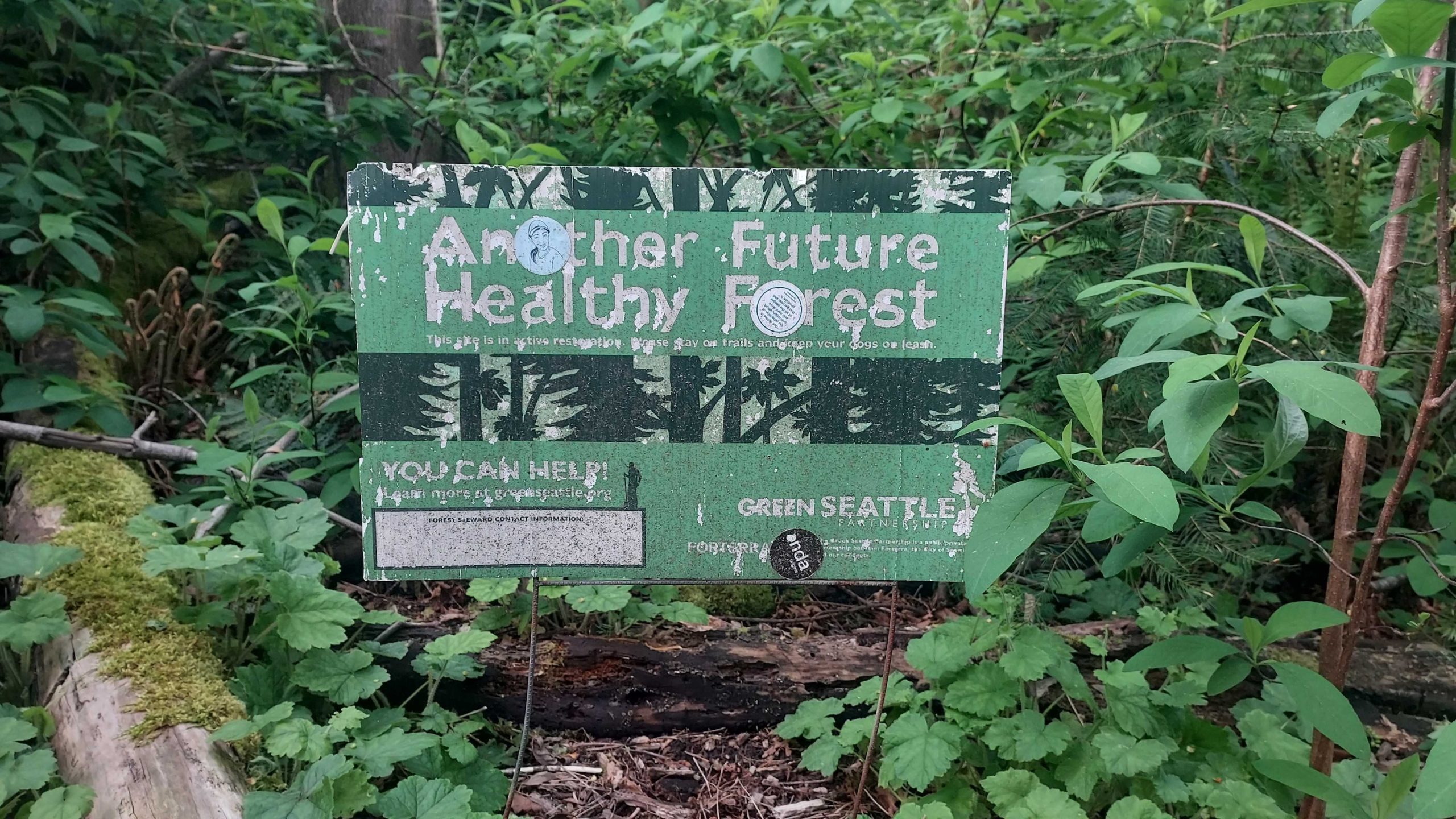 Slog AM: Japan Back in the Weapons Business, Idaho Could Re-Legalize Abortion, Alex Jones Takes Shirt Off