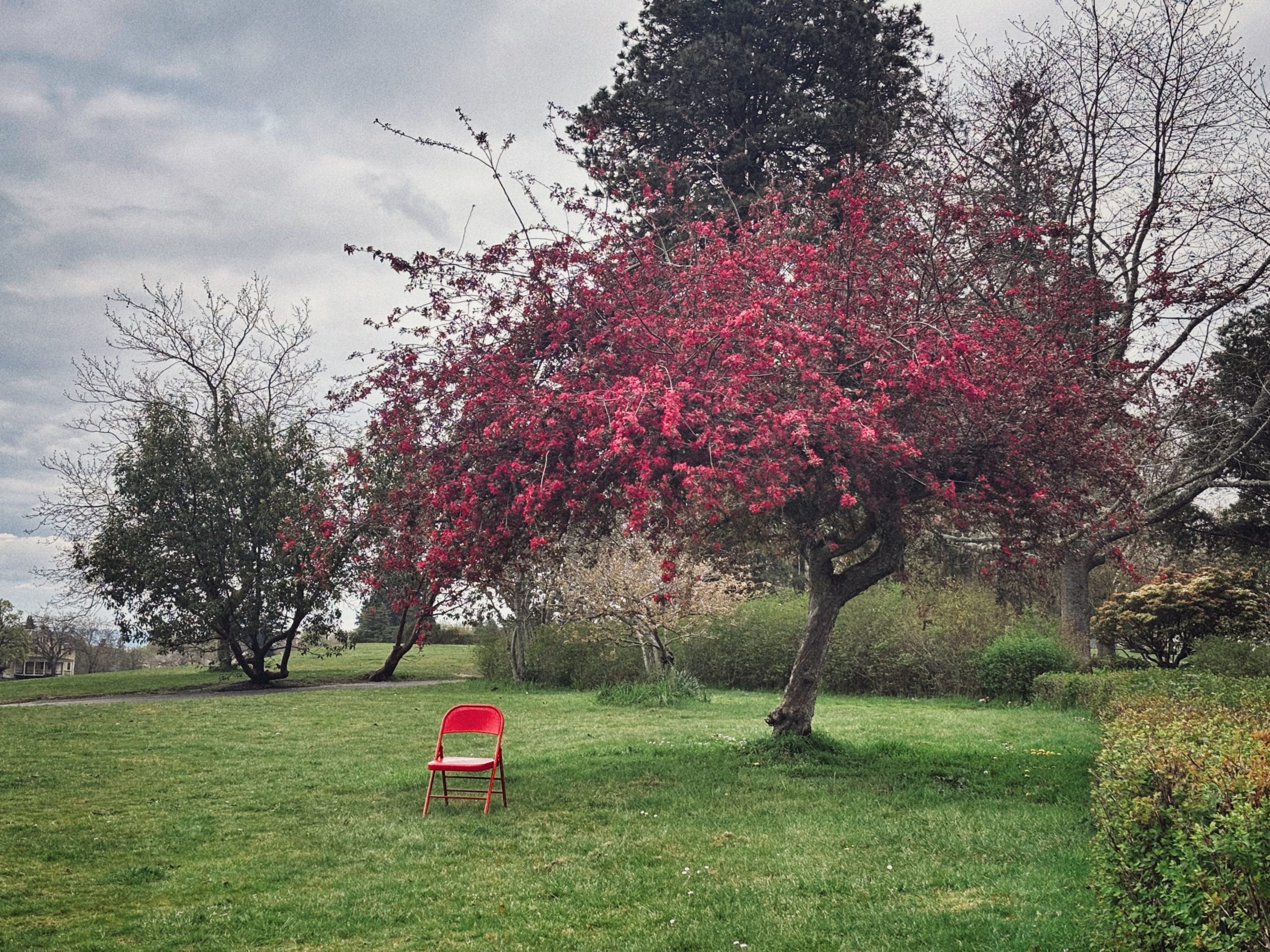 Slog AM: Washington Wins Lawsuit Against Ticketmaster, Europe Is Running Low on Jet Fuel, and the Road to Canada Is Back Open