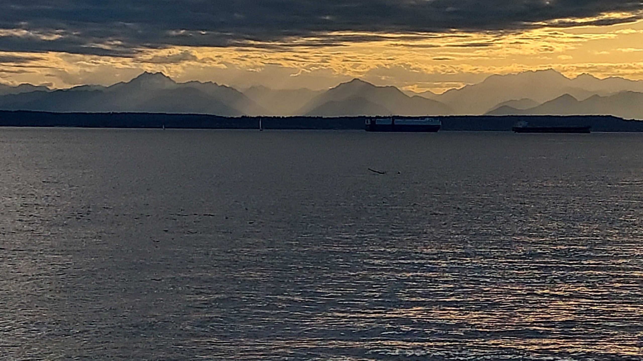 Slog AM: Seattle Cat Rescued from Fire, Trump Admin Bad and Weird at Public Health, Colbert’s Final ‘Late Night’ Monologue