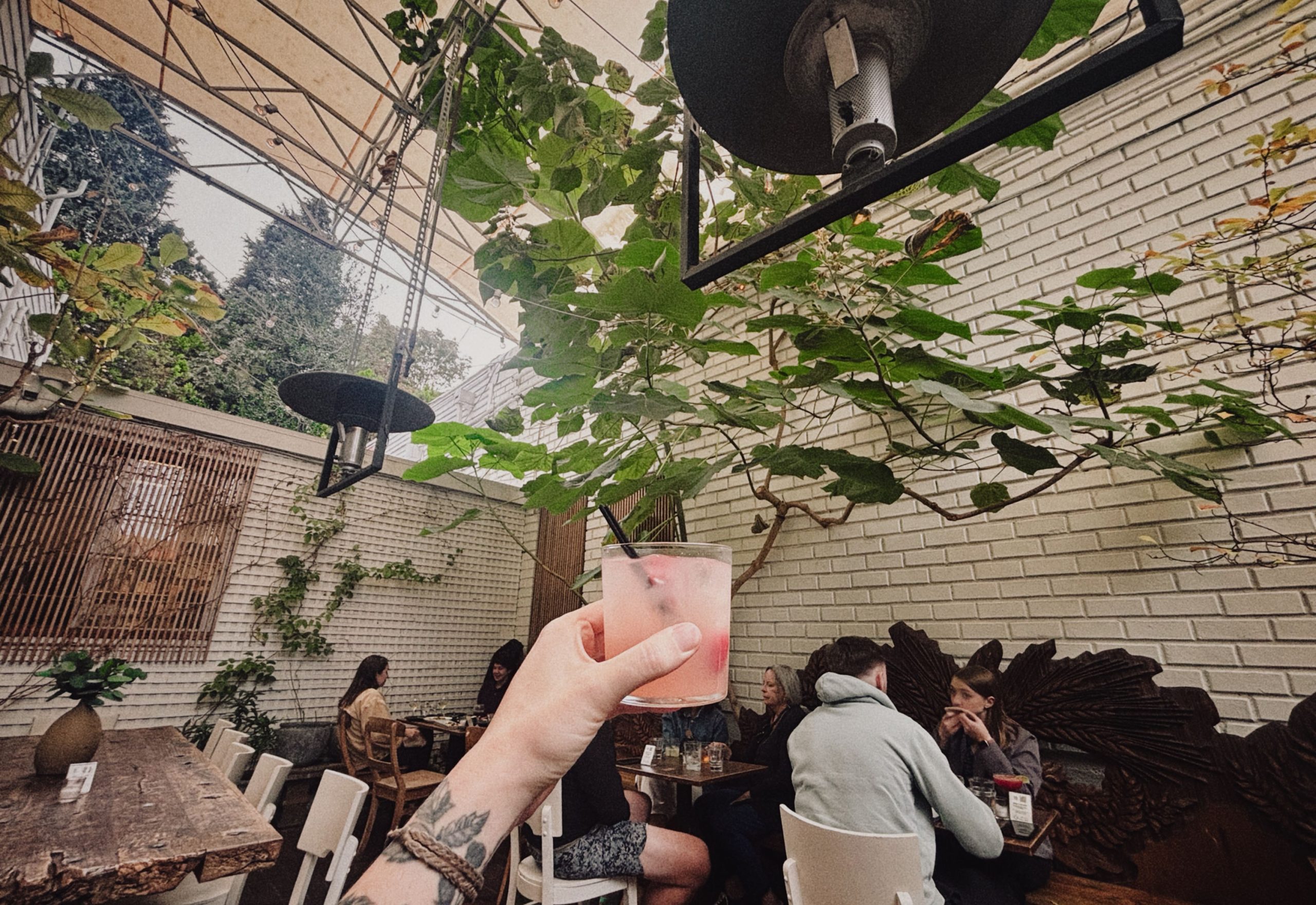 What Will Become of the Empress Tree?
